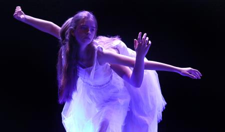 SLAVNOSTNA SEJA  13 FOTO LJUBO VUKELIČ